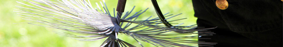 Banner - Thomas Müller